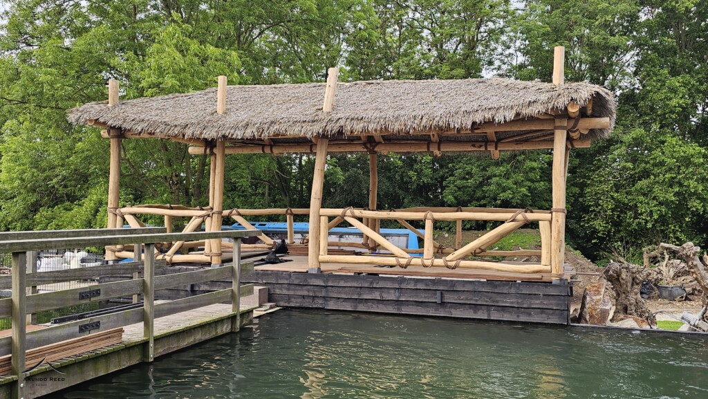 Gazebo van Acasia hout met Coconut thatch roofing